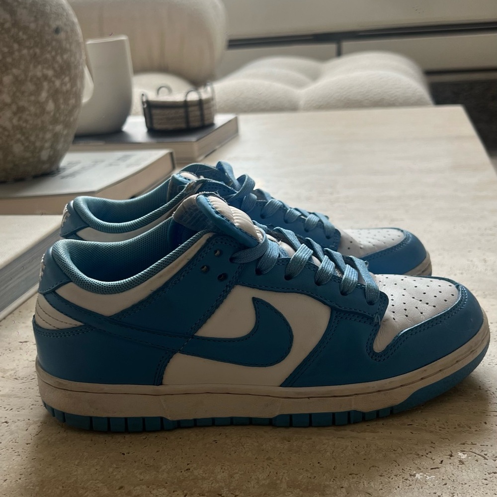 Nike Dunks- blue